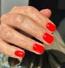 SMALTO CND VINYLUX Poppy Fields